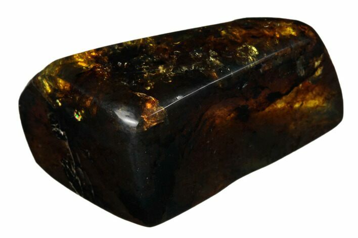 Polished Chiapas Amber ( g) - Mexico #180430